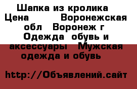 Шапка из кролика › Цена ­ 500 - Воронежская обл., Воронеж г. Одежда, обувь и аксессуары » Мужская одежда и обувь   